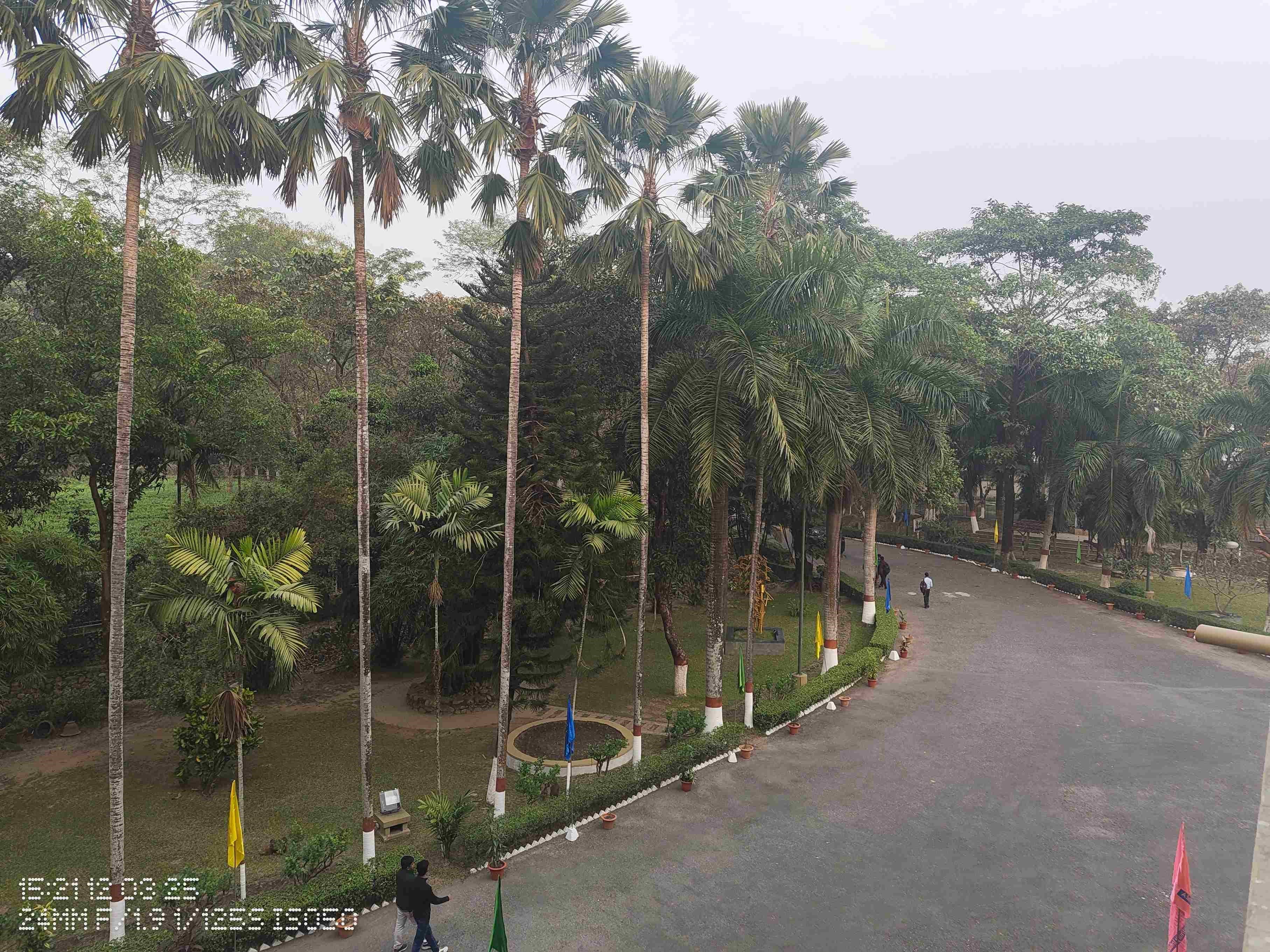 Siliguri Institute of Technology Darjeeling Campus photo 14